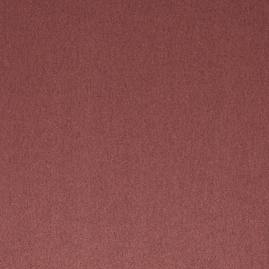 Rom Martindale Brombeere