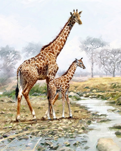 Giraffe