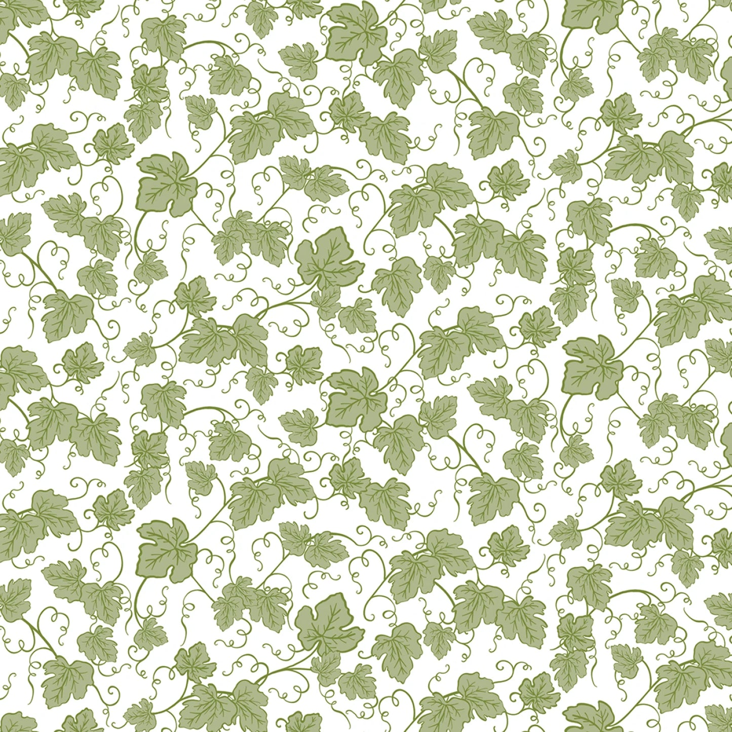 Mini Grape Leaves White