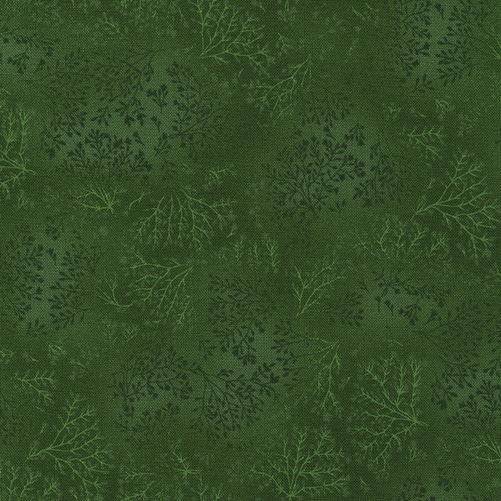 Jungle
