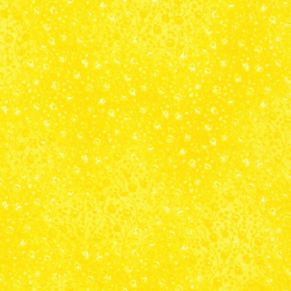 Daffodil