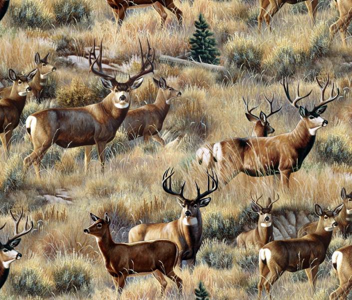 Gold Mule Deer