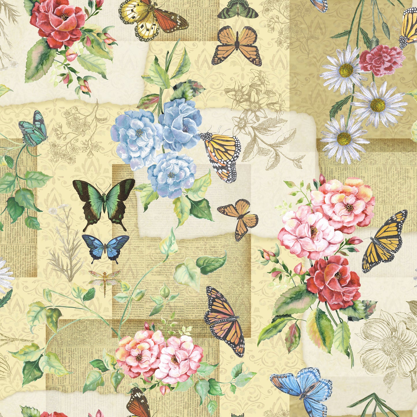 Butterfly Collector
