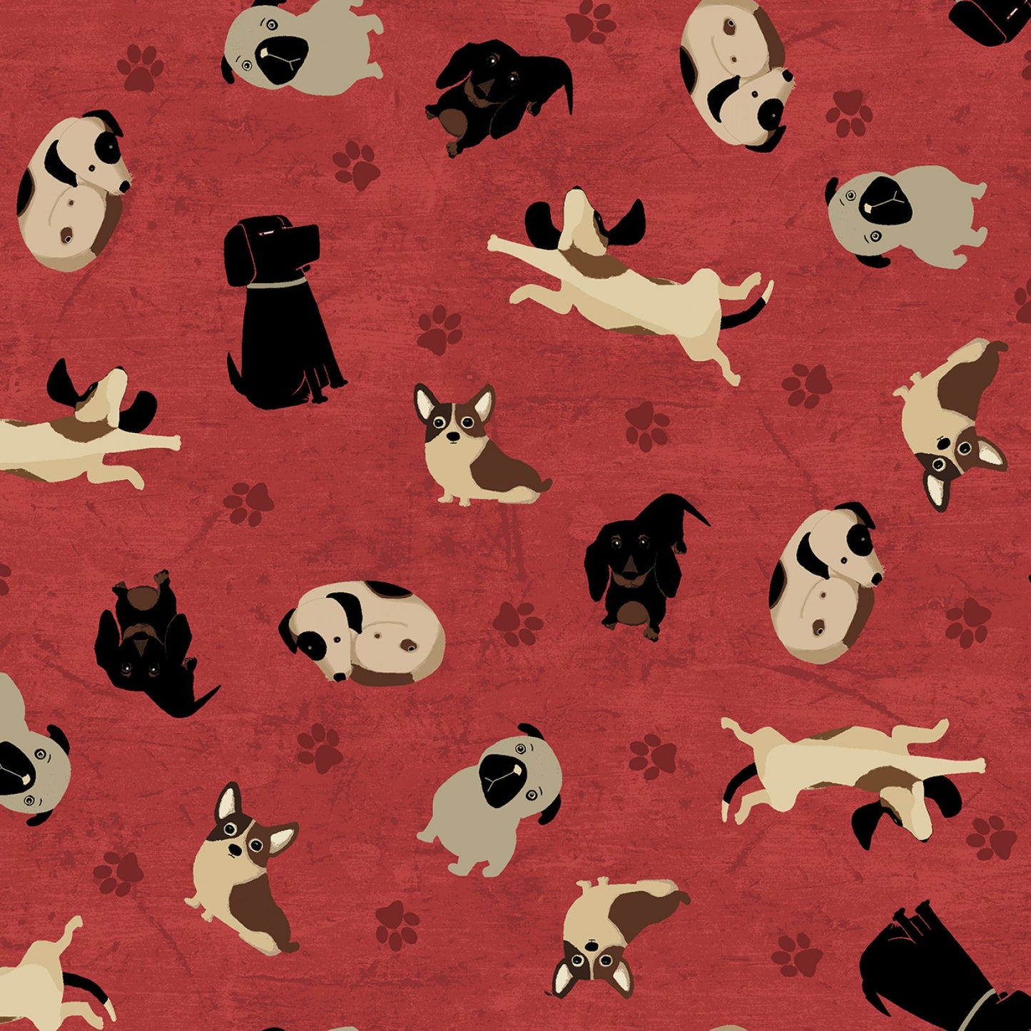 Light Red Tossed Dogs