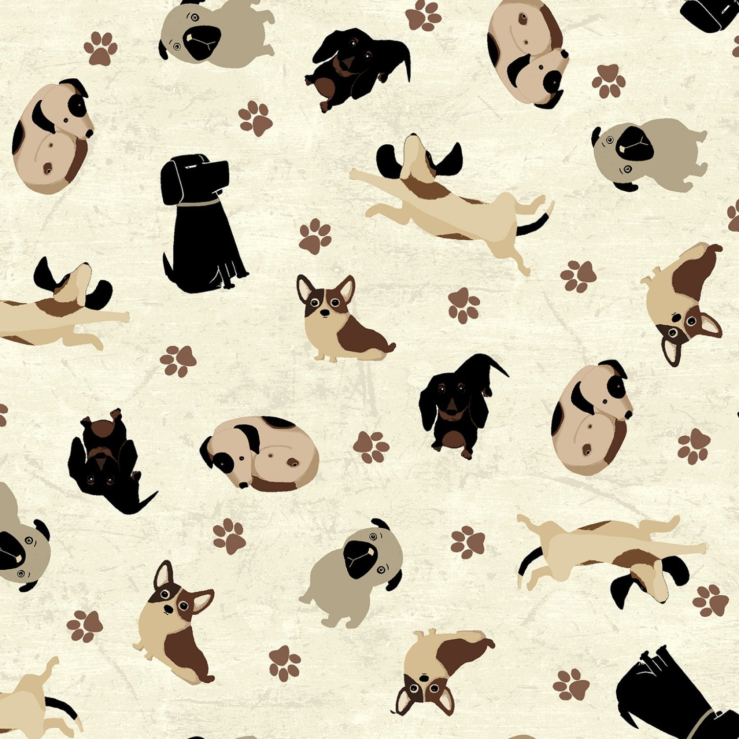 Cream Tossed Dogs