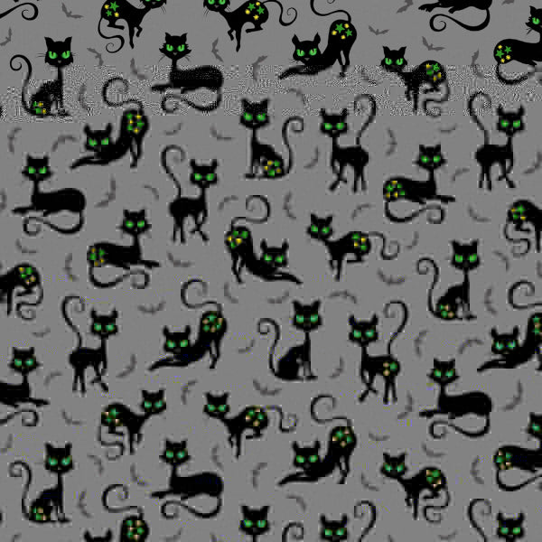 Black Cat Crossing