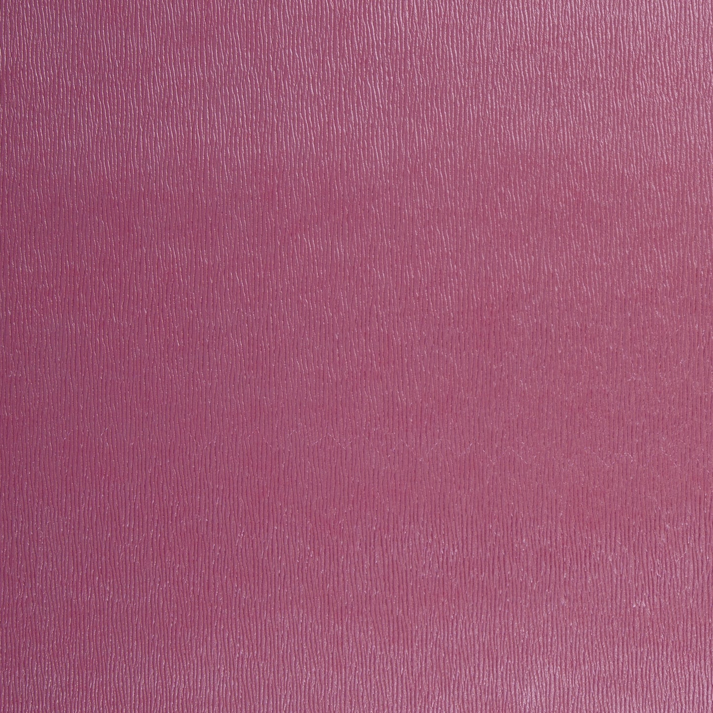 Marlies Fuchsia