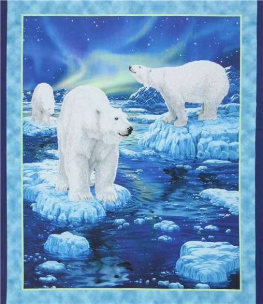 Eisbär