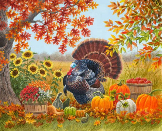 Harvest Garden