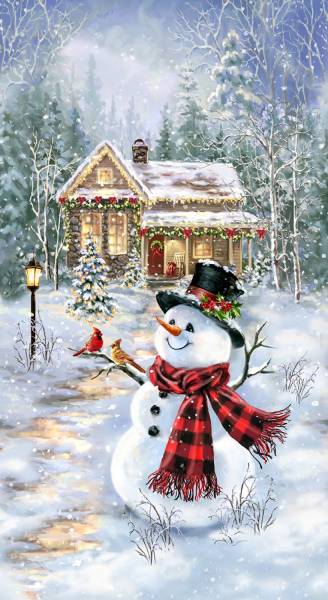 Snowman & Cottage in The Snow