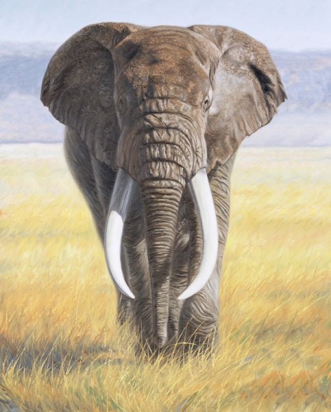 Elefant
