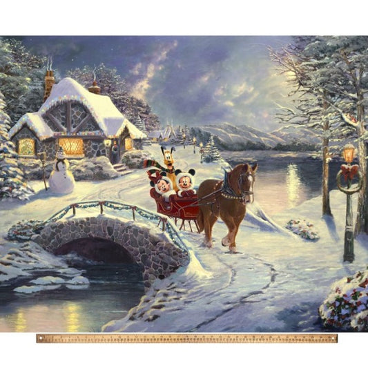 Evening Sleigh Ride