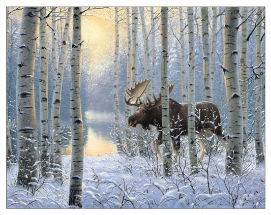 Winter Sunrise Moose
