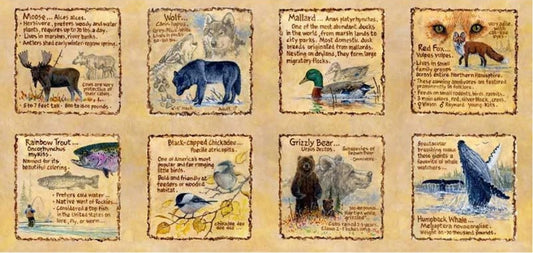 Field Notes