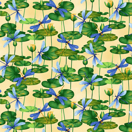 Yellow Dragonfly & Waterlily