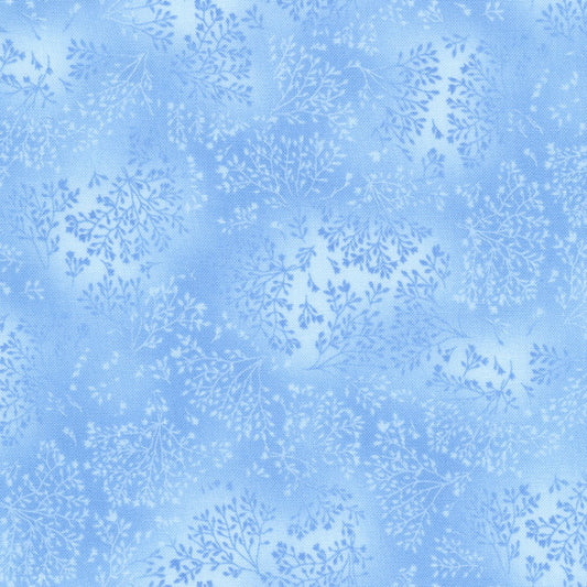 Glacier