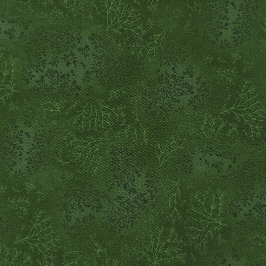 Jungle