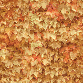 Autumn Breeze