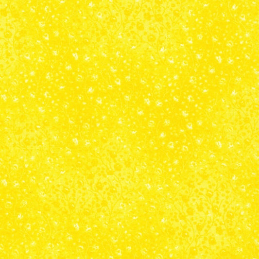 Daffodil