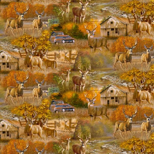 Fall Country Deer