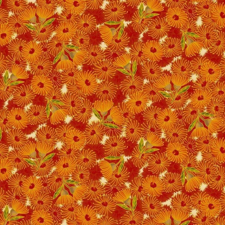Flowering Gum Orange