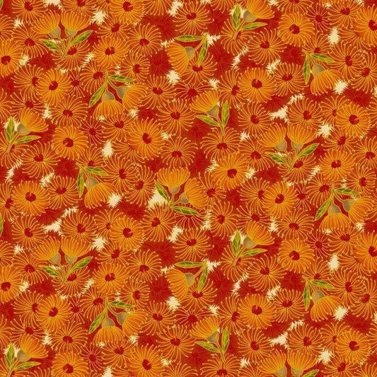Flowering Gum Orange
