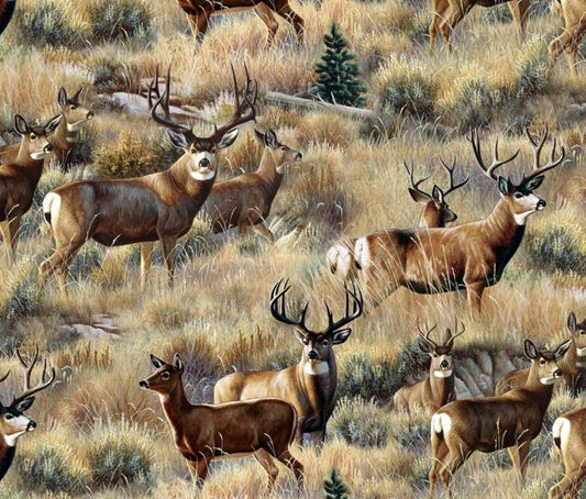 Gold Mule Deer