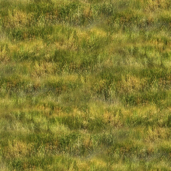 Greener Pasture