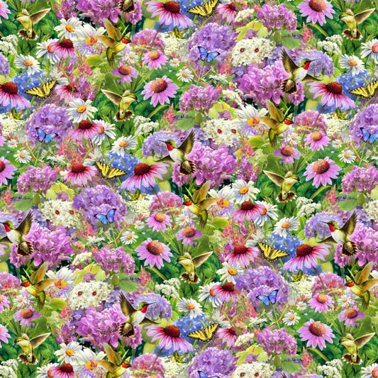 Hummingbirds in the Meadow