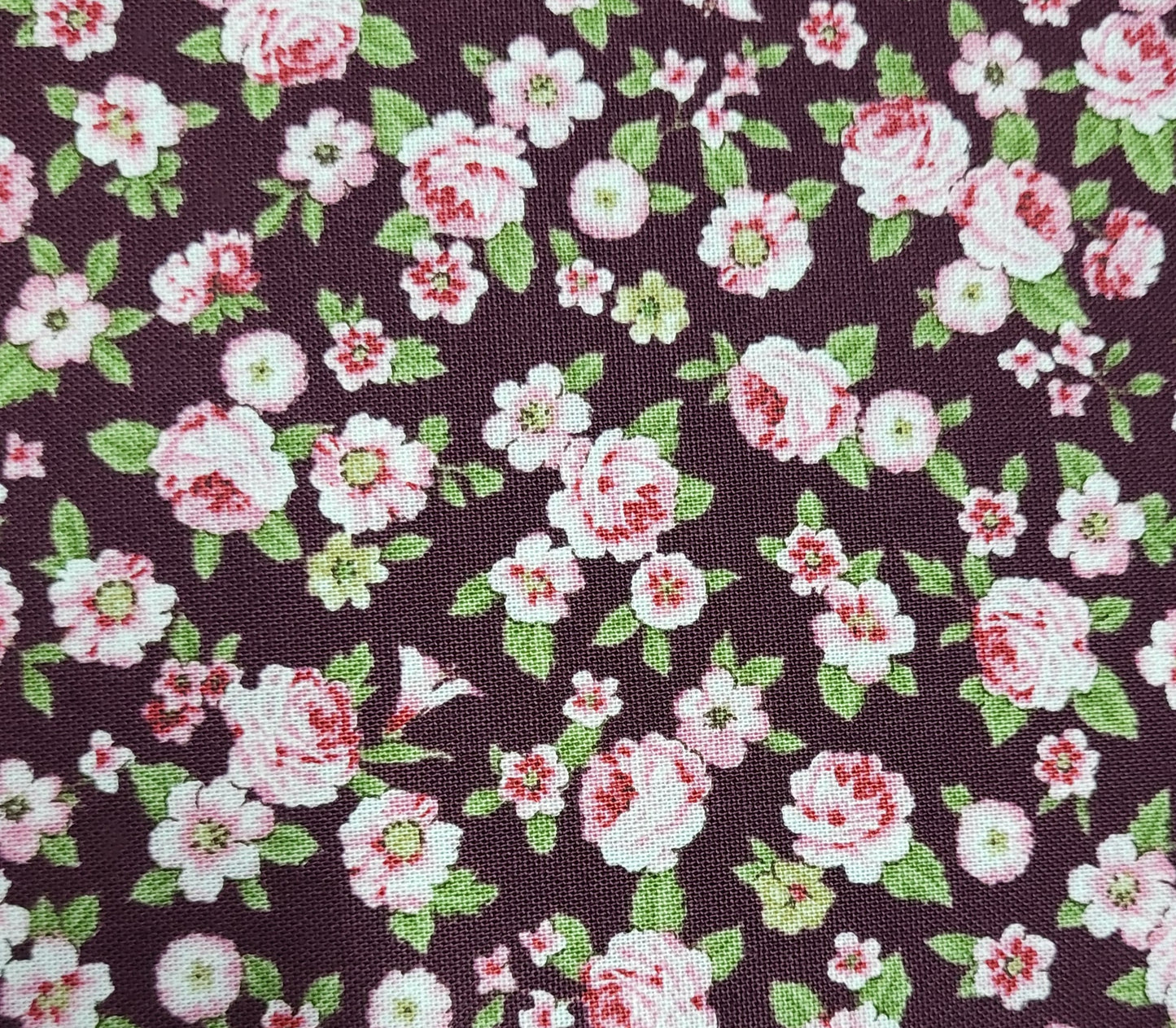 Juliet Roses