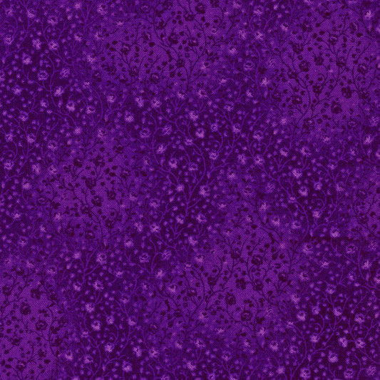 Eggplant