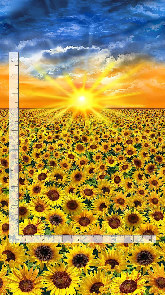 Sunflower Sunset