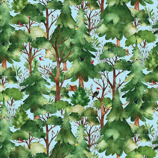 Who lives in the Woods