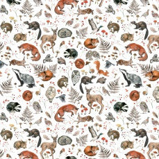 Wildtiere
