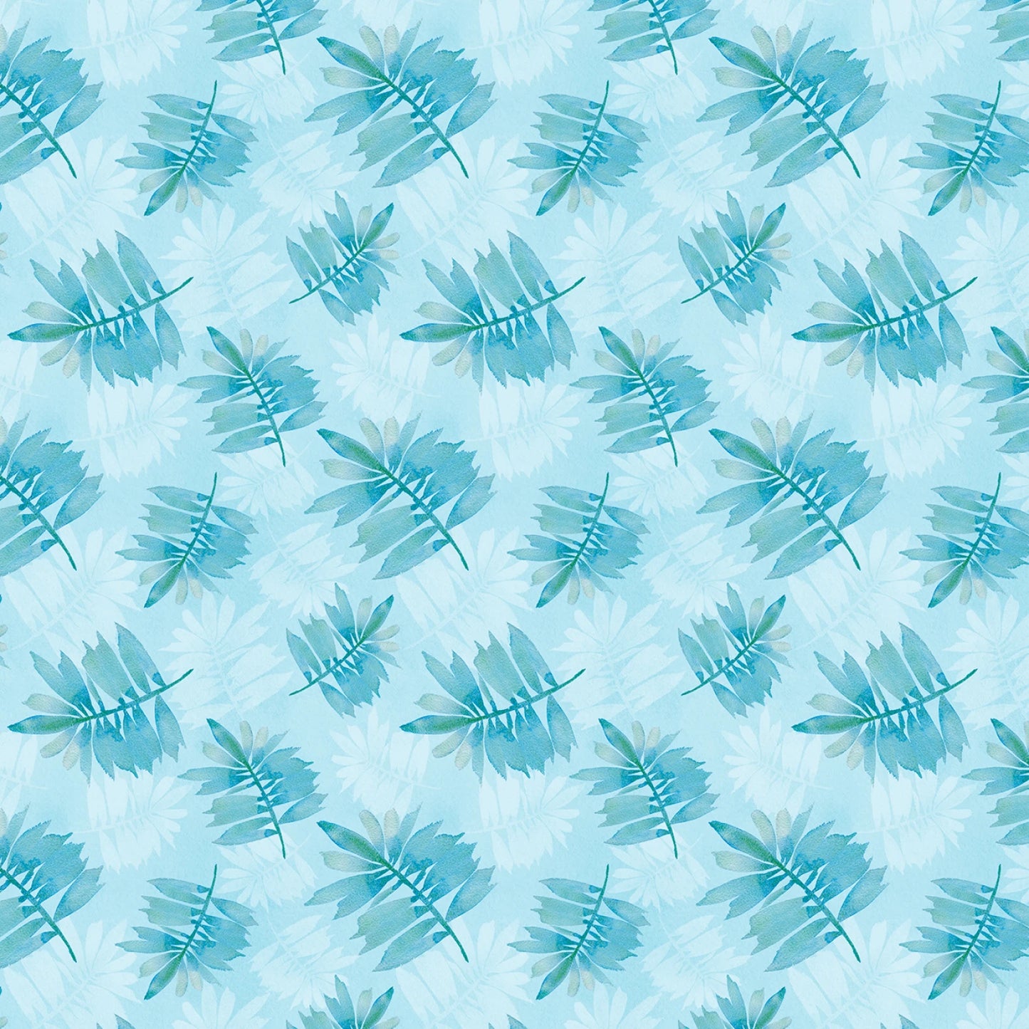 Underwater Wonders