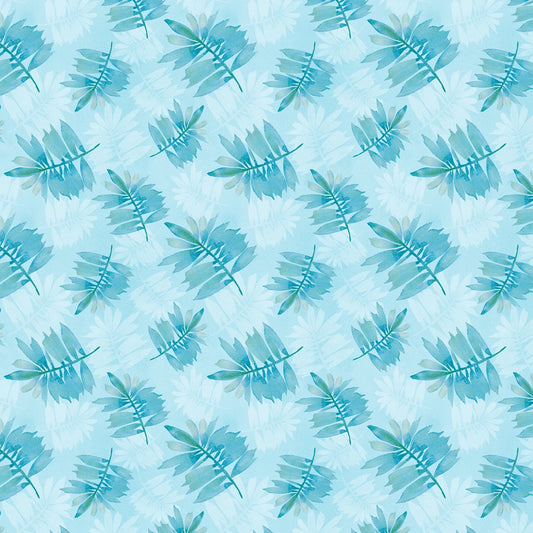 Underwater Wonders
