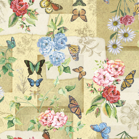 Butterfly Collector