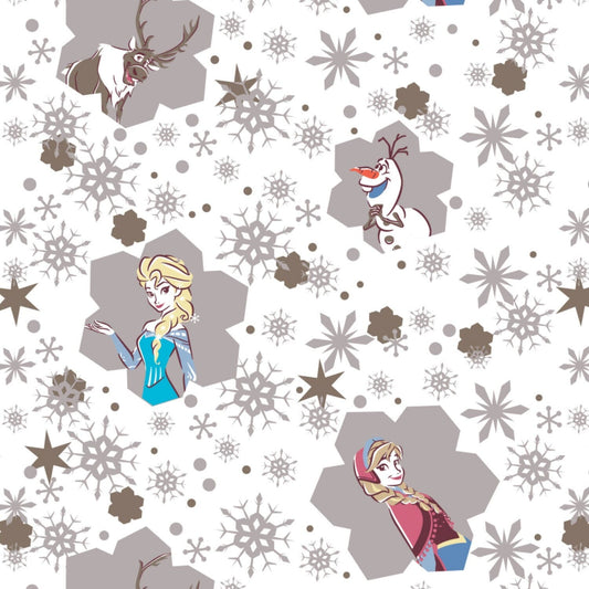 Frozen Disney Flanell