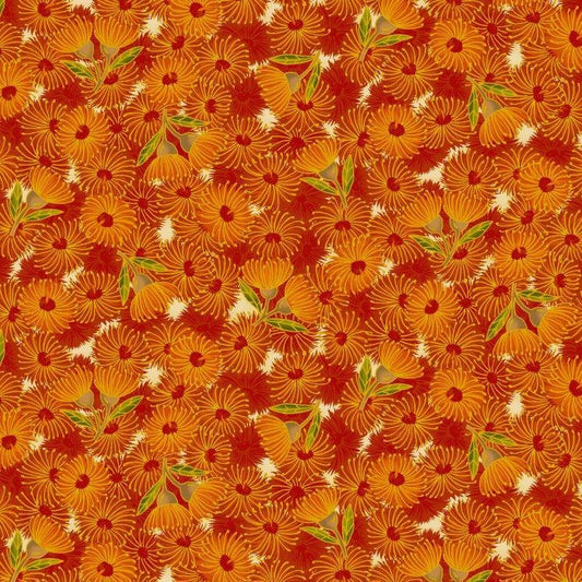 Flowering Gum Orange Multi