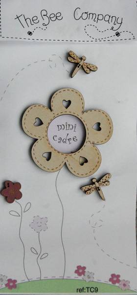 Mini Cadre