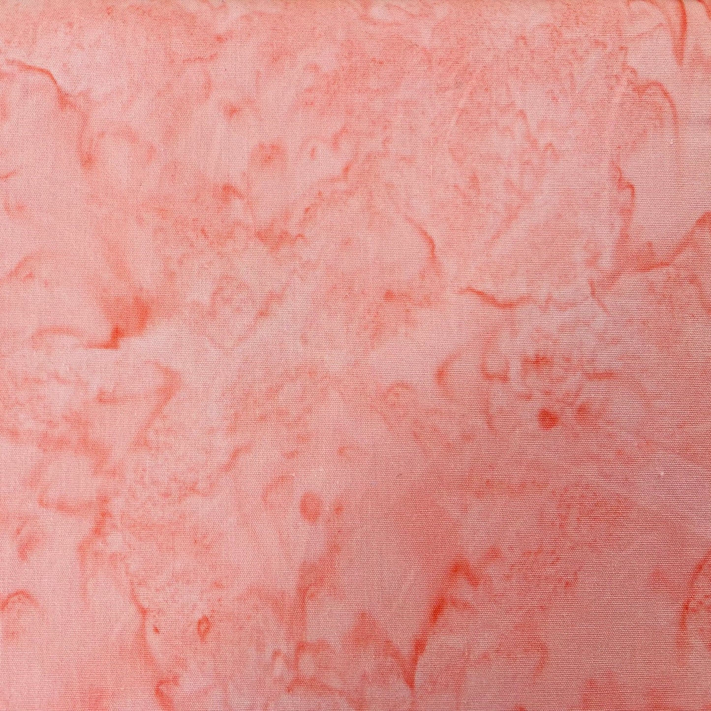 Carnation