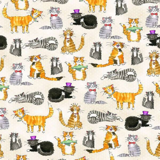 Cats