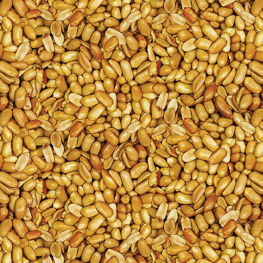 Baumwollstoff Beer Nuts Natural Benartex