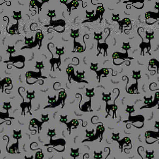 Black Cat Crossing