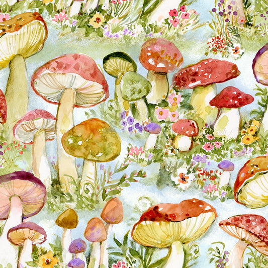 Mushroom Packed Springs Creative