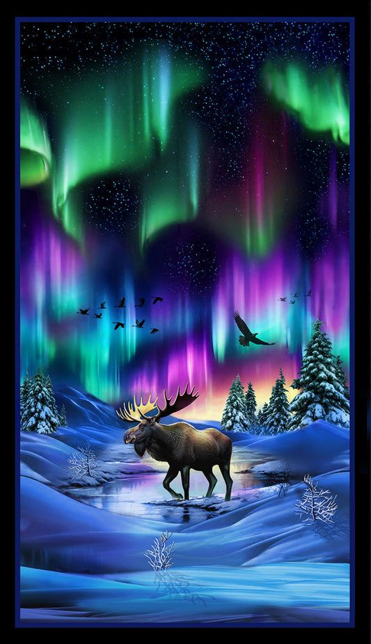 Aurora Black