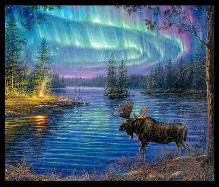 Panel Black Northern Lights Elizabeth's Studio