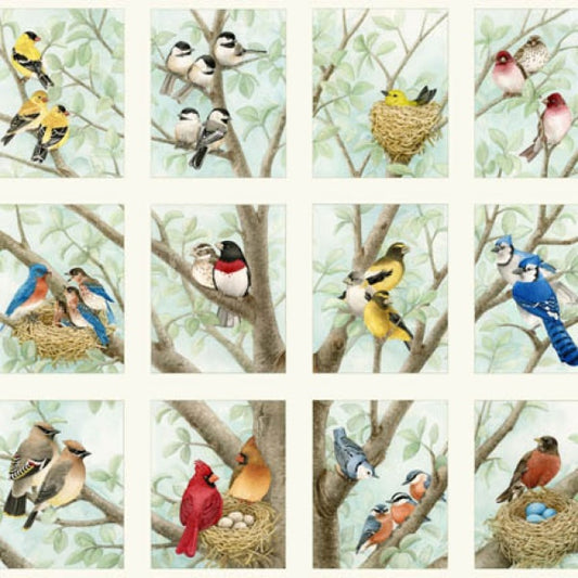 Bird