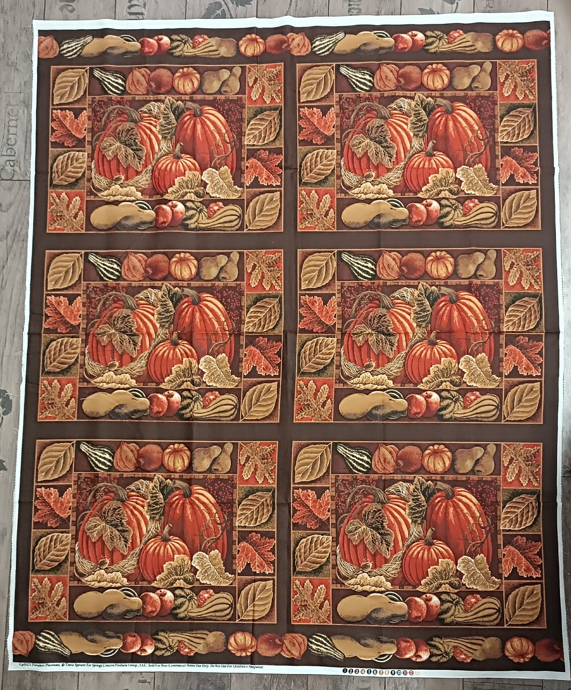 Panel Pumpkins Placemats Springs Creative