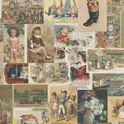Panel Uno Vintage Postcard Devonstone